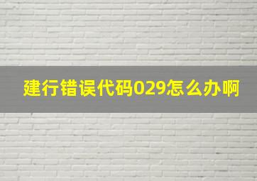 建行错误代码029怎么办啊