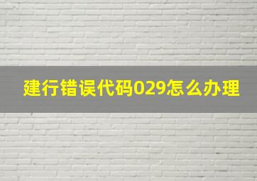 建行错误代码029怎么办理