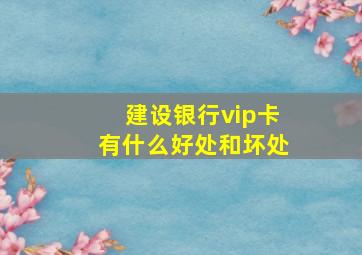 建设银行vip卡有什么好处和坏处