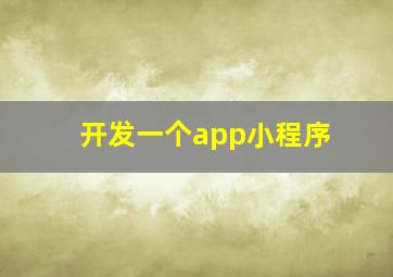 开发一个app小程序