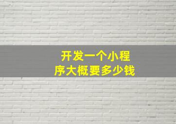 开发一个小程序大概要多少钱