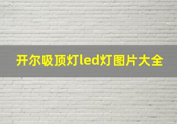 开尔吸顶灯led灯图片大全