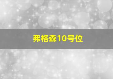 弗格森10号位