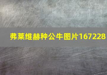 弗莱维赫种公牛图片167228