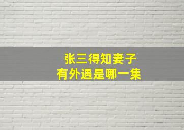 张三得知妻子有外遇是哪一集