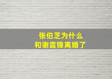 张伯芝为什么和谢霆锋离婚了