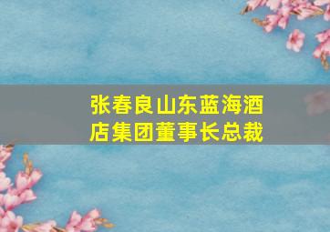 张春良山东蓝海酒店集团董事长总裁