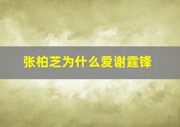 张柏芝为什么爱谢霆锋