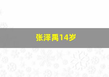 张泽禹14岁