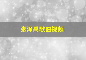 张泽禹歌曲视频