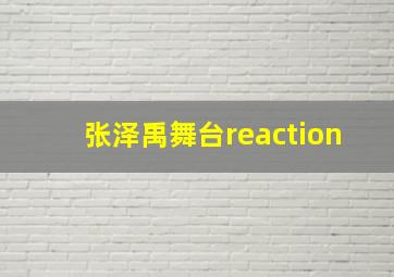 张泽禹舞台reaction