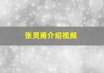 张灵甫介绍视频