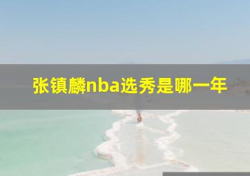 张镇麟nba选秀是哪一年