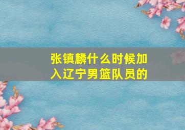 张镇麟什么时候加入辽宁男篮队员的