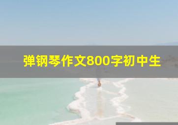 弹钢琴作文800字初中生