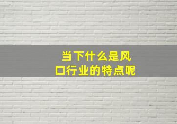 当下什么是风口行业的特点呢