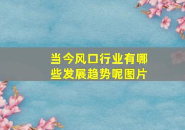 当今风口行业有哪些发展趋势呢图片