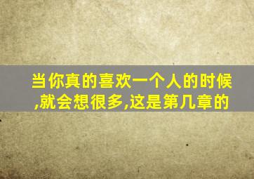 当你真的喜欢一个人的时候,就会想很多,这是第几章的