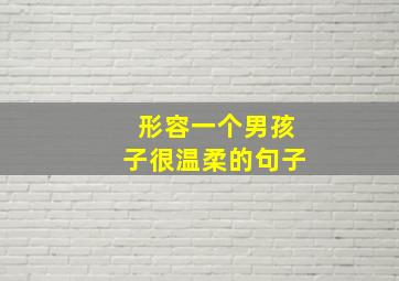 形容一个男孩子很温柔的句子