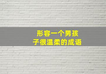 形容一个男孩子很温柔的成语