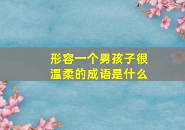 形容一个男孩子很温柔的成语是什么