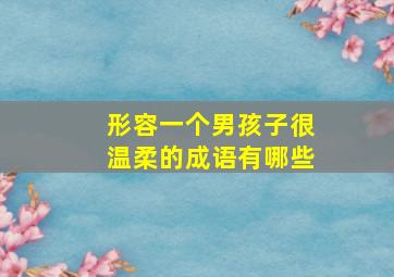 形容一个男孩子很温柔的成语有哪些