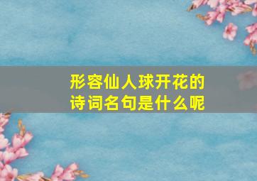 形容仙人球开花的诗词名句是什么呢