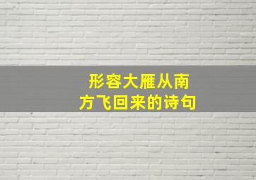 形容大雁从南方飞回来的诗句