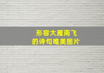 形容大雁南飞的诗句唯美图片