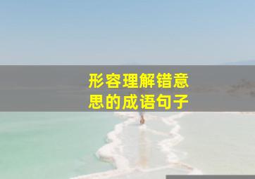 形容理解错意思的成语句子