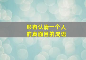 形容认清一个人的真面目的成语