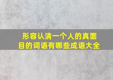 形容认清一个人的真面目的词语有哪些成语大全