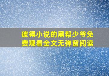 彼得小说的黑帮少爷免费观看全文无弹窗阅读