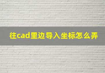 往cad里边导入坐标怎么弄