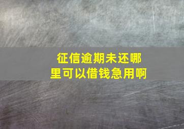 征信逾期未还哪里可以借钱急用啊