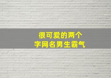 很可爱的两个字网名男生霸气