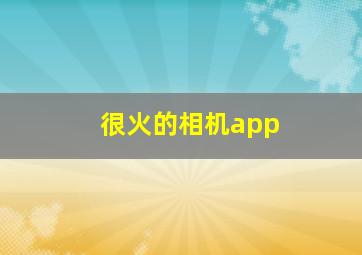 很火的相机app