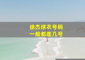 徐杰球衣号码一般都是几号