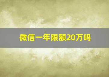 微信一年限额20万吗