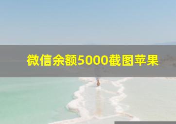 微信余额5000截图苹果