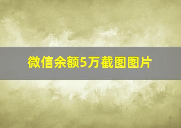 微信余额5万截图图片