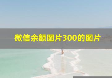 微信余额图片300的图片