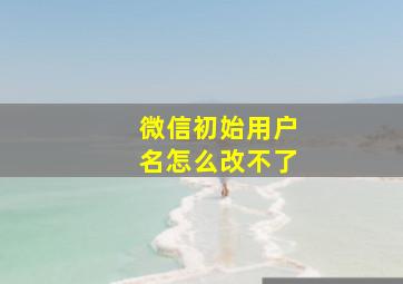 微信初始用户名怎么改不了