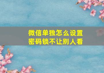 微信单独怎么设置密码锁不让别人看