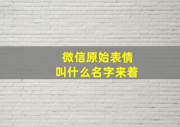 微信原始表情叫什么名字来着