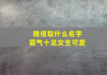 微信取什么名字霸气十足女生可爱