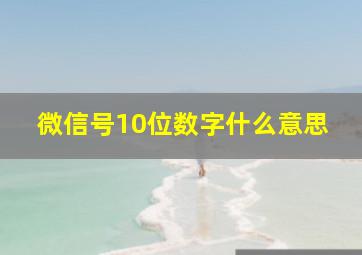 微信号10位数字什么意思