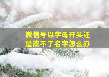 微信号以字母开头还是改不了名字怎么办