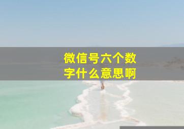 微信号六个数字什么意思啊