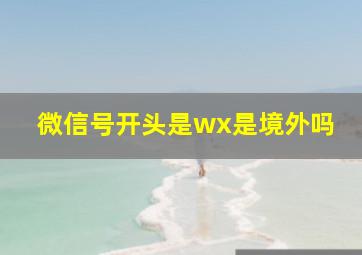 微信号开头是wx是境外吗